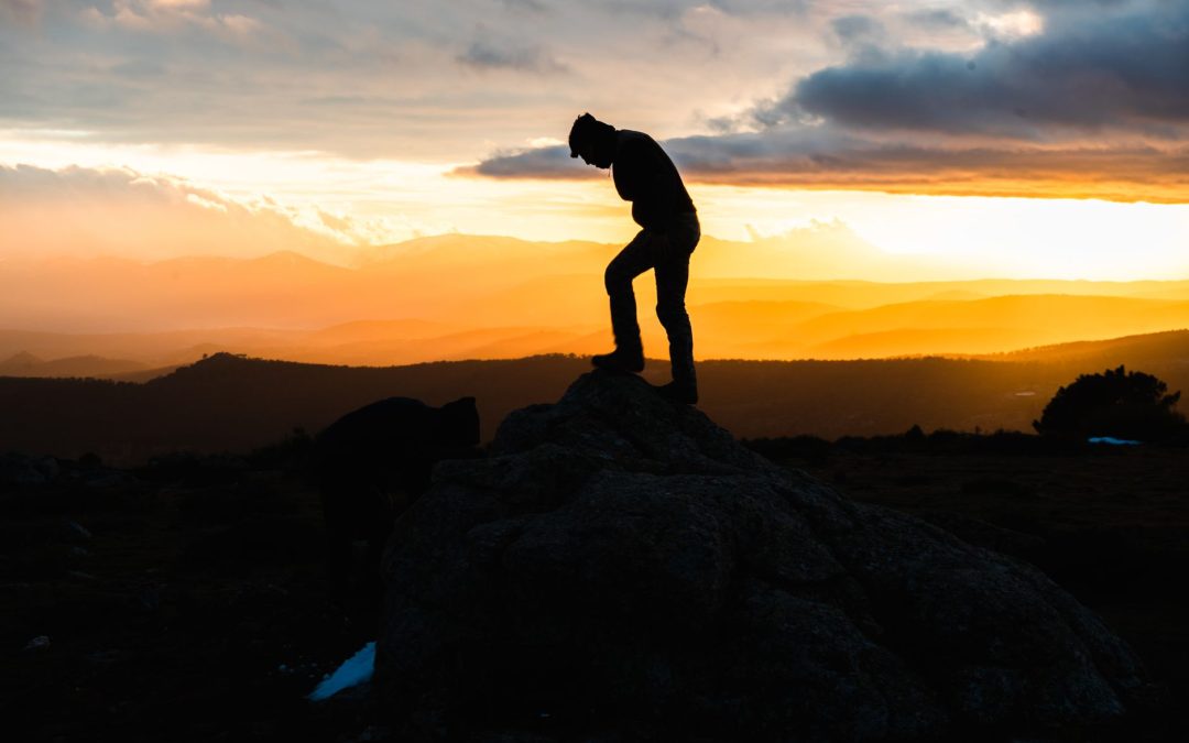 The purpose of it all
