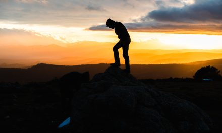 The purpose of it all